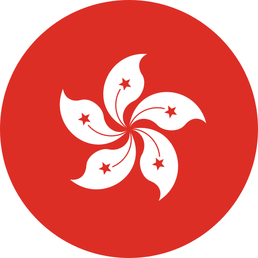 undefined flag